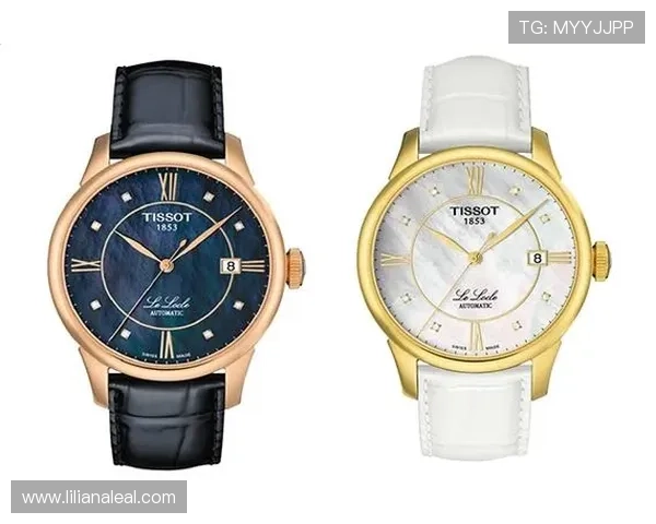 乐竞体育app登录入口注册指南帮助新用户顺利登录使用