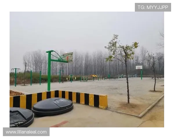 半岛综合体育基础设施建设与环境保护的平衡策略